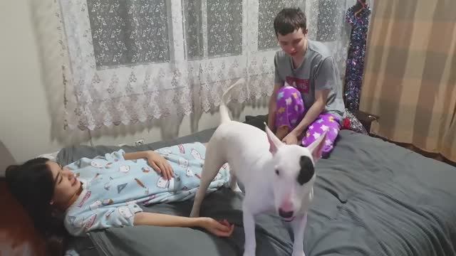 Расшалились