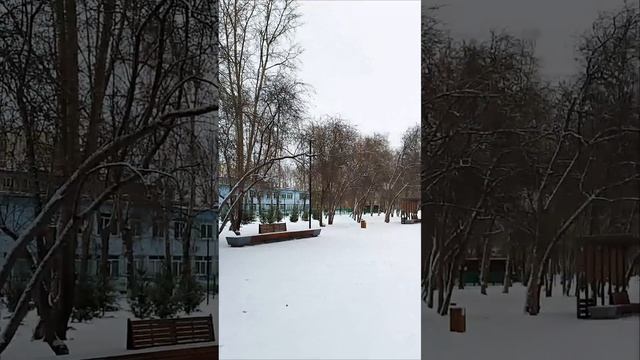 Прогулка в сквере