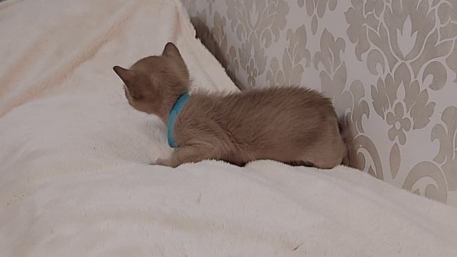 Самый активный и любопытный мальчик