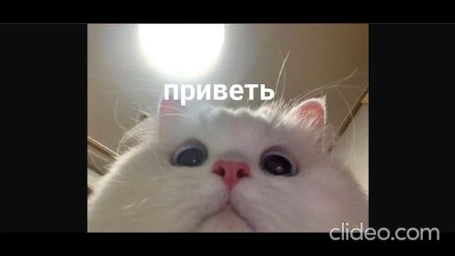 clideo_editor_9e3db3ad4f3744d1a3d4445826c1448a