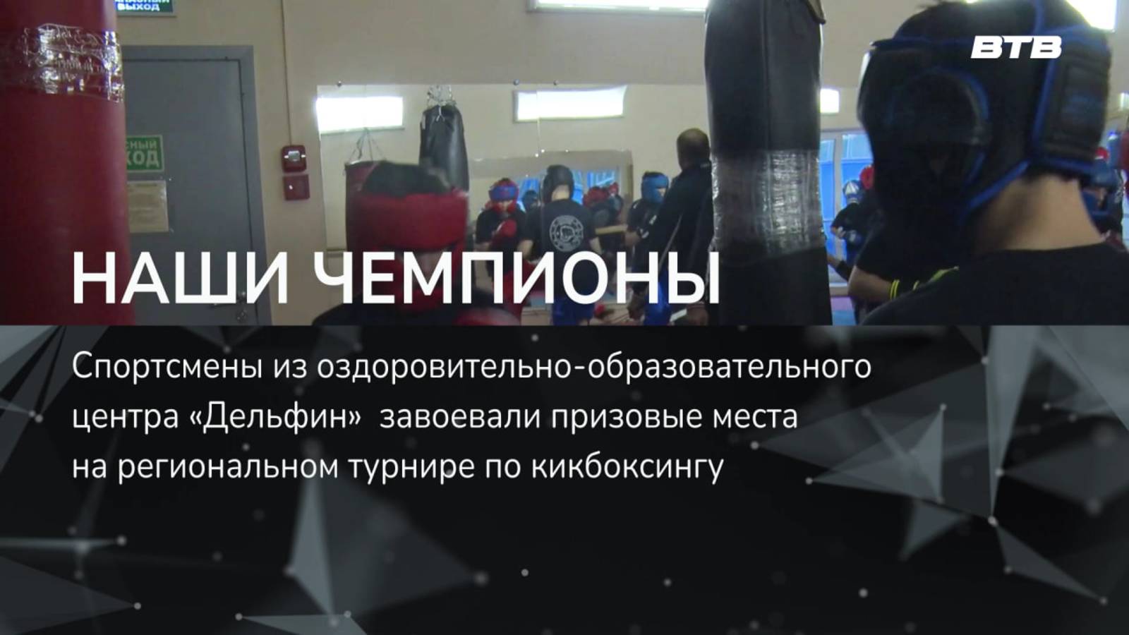 НАШИ ЧЕМПИОНЫ