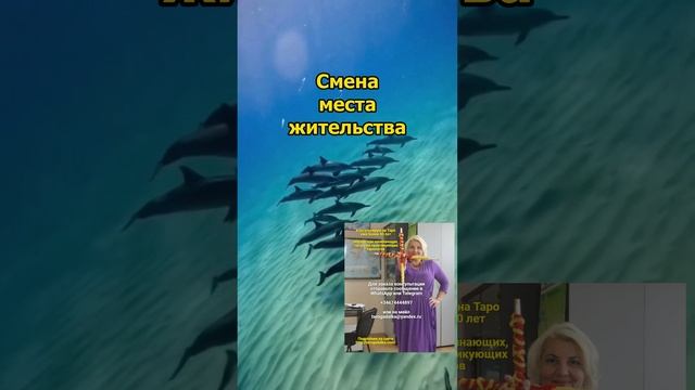 При смене места жительства