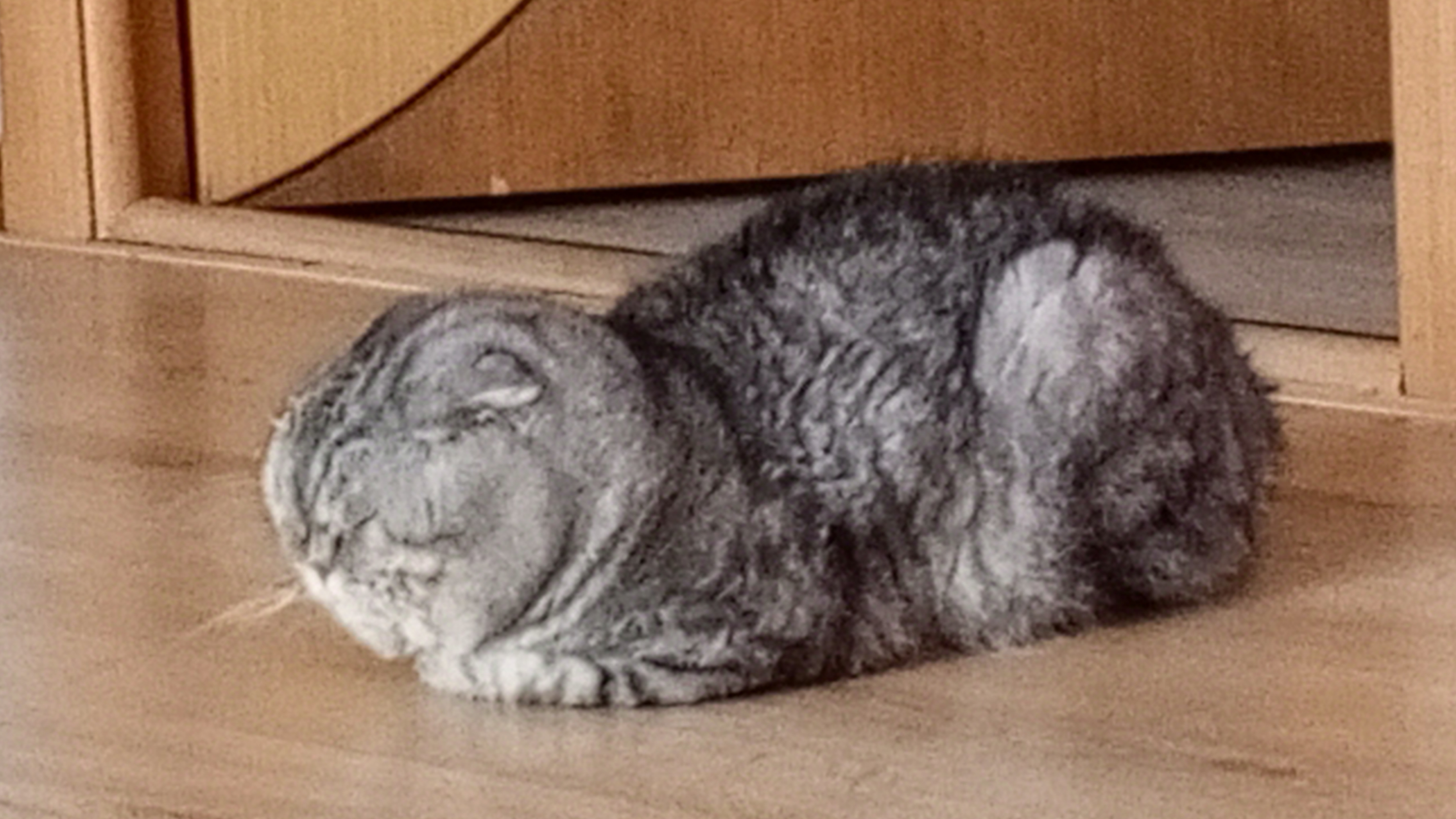 сижу в машине которая сейчас собрал