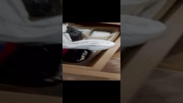 VID_20241121_185832.mp4