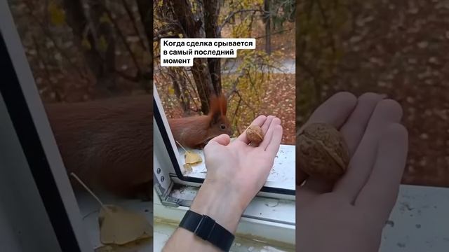 Когда сделка срывается в последний момент, важно проанализировать всё и двигаться дальше к успеху!