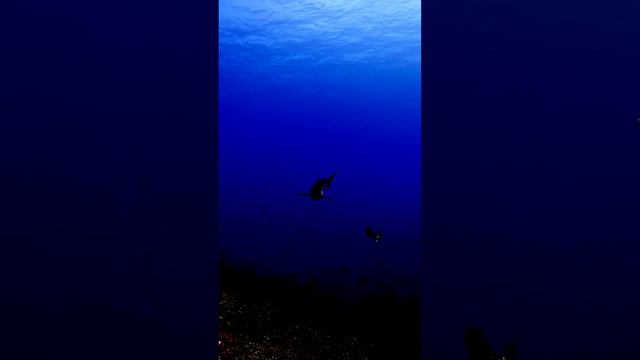 Жизнь вокруг нас