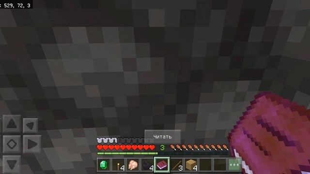 я играю в Minecraft