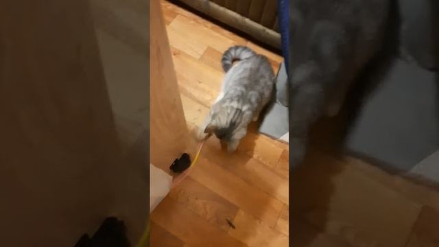 жизнь игра )))