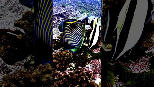 Красота вокруг нас