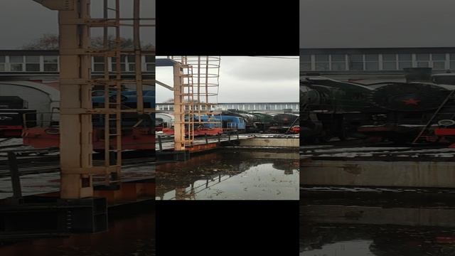 VID_20241115_135502.mp4