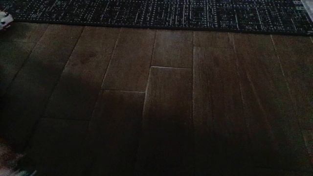 Слоумо