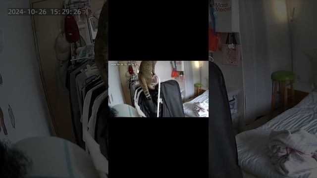 хихичпок юмор подборка