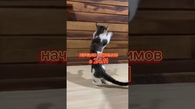 деньгионлайн