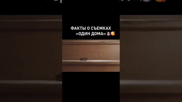 Факты о съёмках "Один дома"#одиндома #одиндомпитера #фактыосъёмках #создавайуютвокругсебя🥧☕️🏠