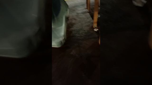 на площадке