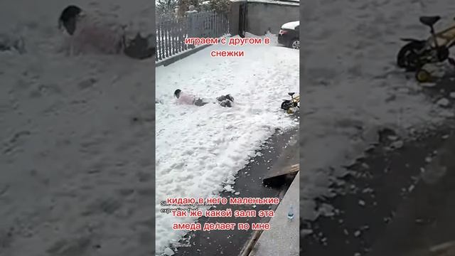 игра в снежки с другом