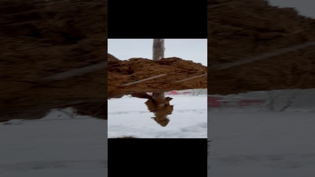 Колодец , колодцы ,копка колодца