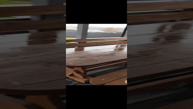 1000019593.mp4
