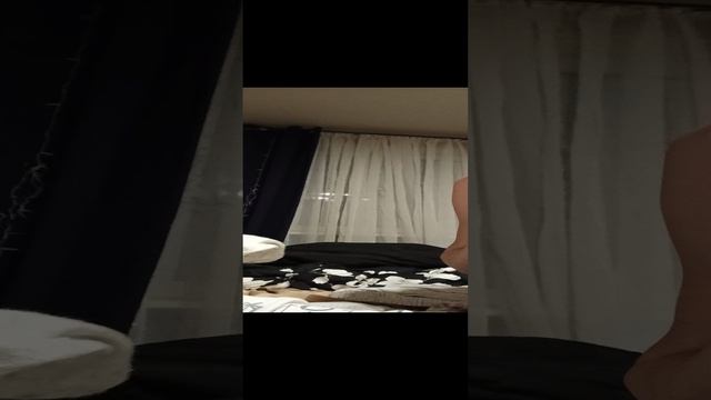 VID_20241123_165921.mp4