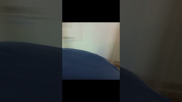 типичный камиль