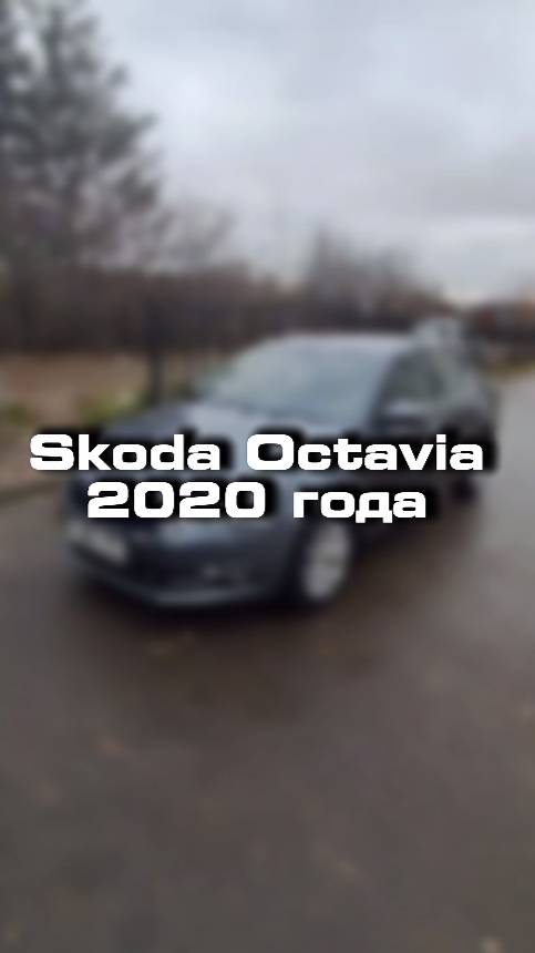 Купили бы себе такую Skoda Octavia 2020 года