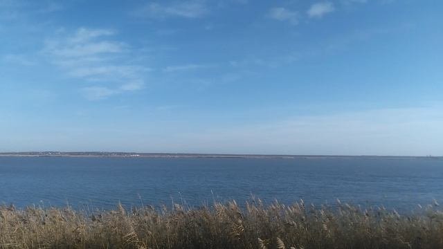 VID_20241123_091043.mp4