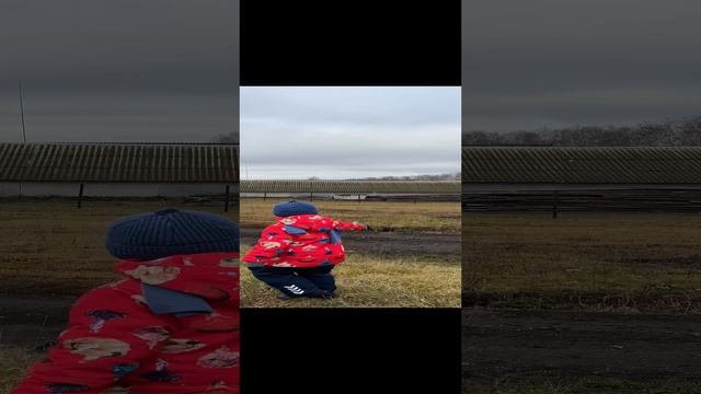 IMG_8089