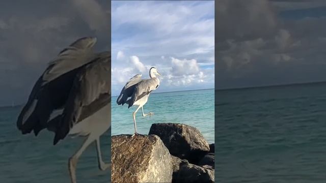 1000010819.mp4