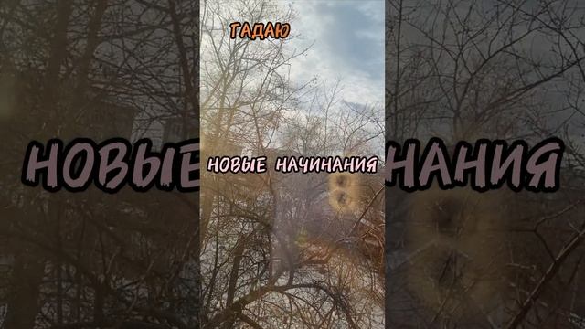 23 ноября АСТРОЛОГИЯ ДНЯ,Гадаю онлайн,магия в помощь .#23ноября #астрологиядня #гадаюонлайн #магия