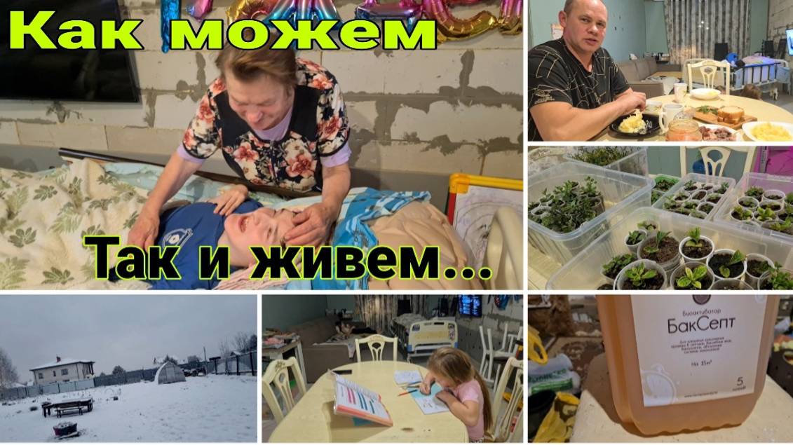 К нам приехала бабушка. Занимаюсь растениями. Бактерии для септика. Дети получили ГРАМОТУ  в школе.