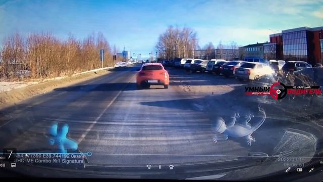 Подборка САМЫХ УМНЫХ водителей #655