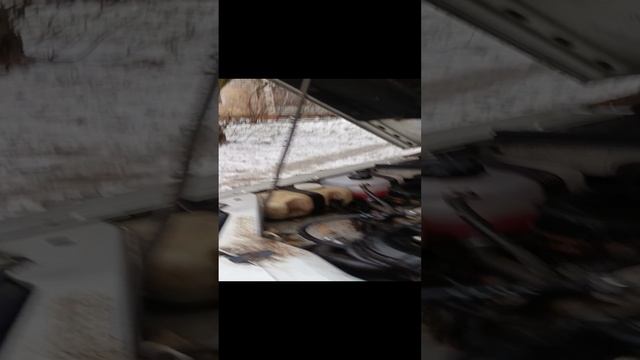 1000014091.mp4