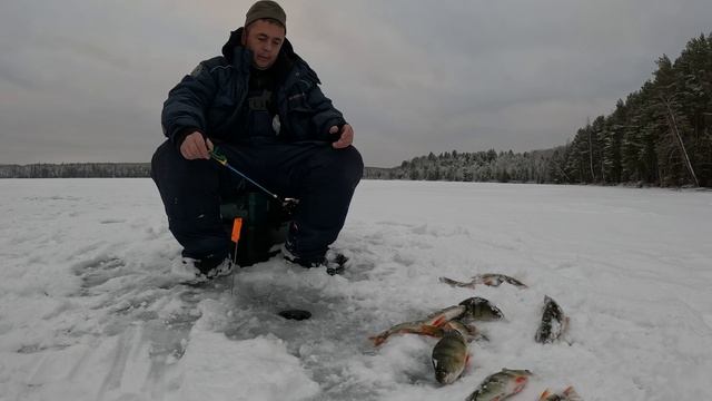 Рыбалка на окуня удалась на славу!!! Окунь на мормышку.