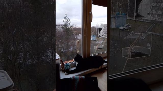 Марся на посту