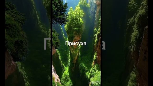 Ритуалы