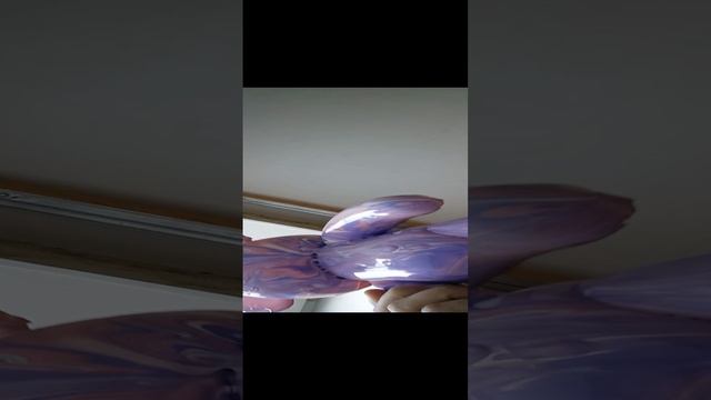 VID_20241123_141439.mp4