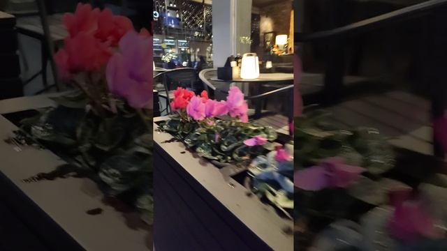 1000024323.mp4