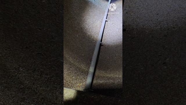 1000010448.mp4