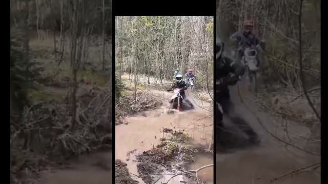 1000015606.mp4