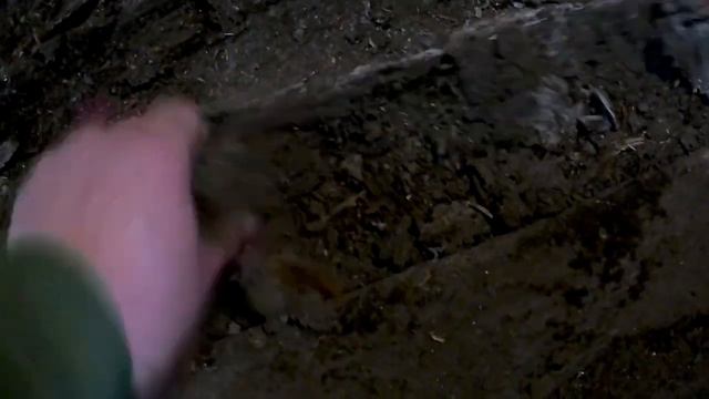 ЖИВЕМ В ДЕРЕВНЕ!!РАБОТЫ В САРАЕ!!ОЛИНО НАСЛЕДСТВО!!!ЗАПОЗДАЛЫЙ ПОДАРОК!!!Деревенский влог