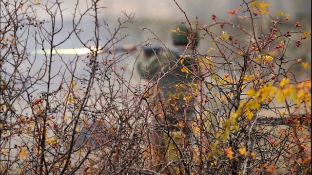 Военный эксперт рассказал о тактике ВС РФ в селе Ямполовка ДНР