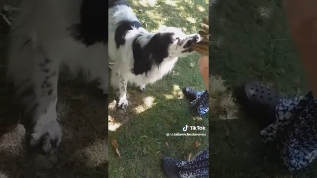 Помогатор...)))