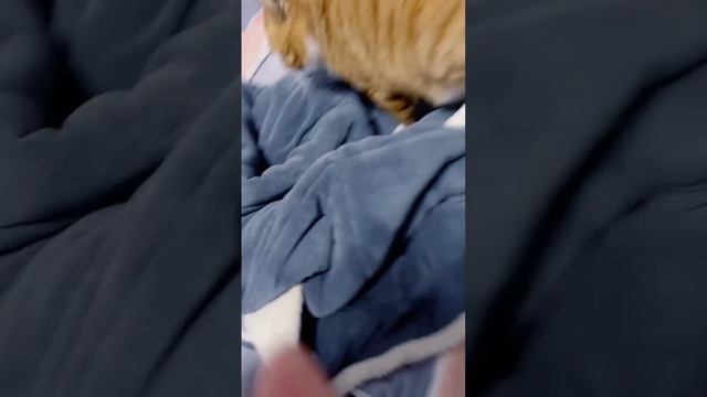 хихичпок юмор подборка