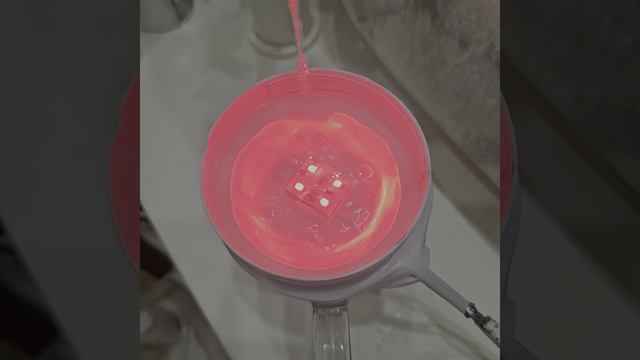1000020779.mp4