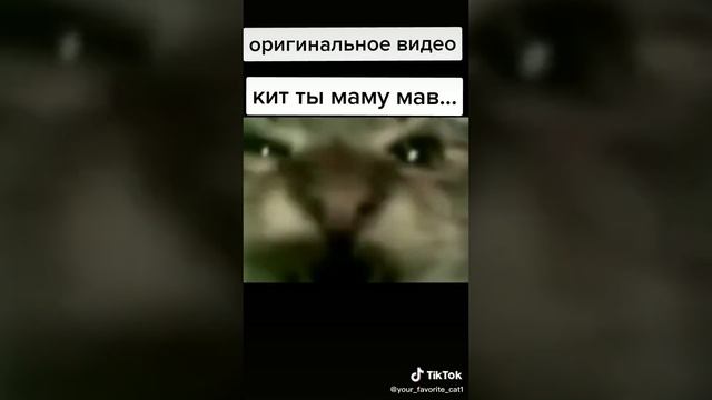 Кит ты маму мал