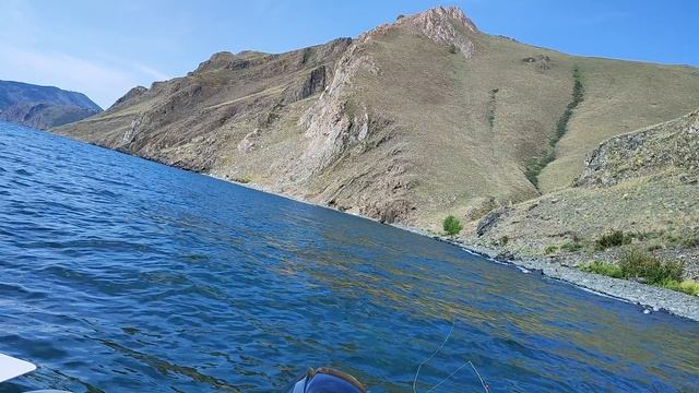Байкал, хариус, нахлыст