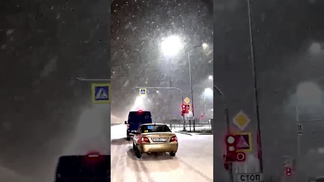 Сильный снегопад обрушился на Ленинградскую область