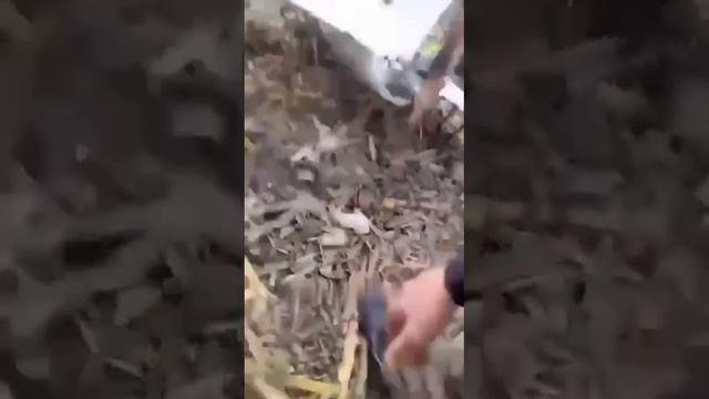Брянские работяги обнаружили в поле упавший беспилотник «Гербера».