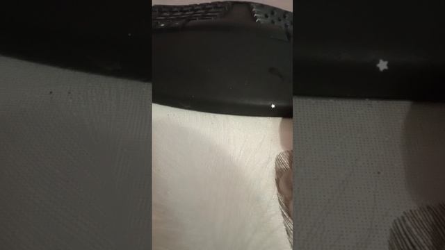 scene_output.mp4