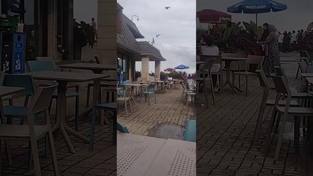 Ниагарские Водопады. Чайки и ребёнок.